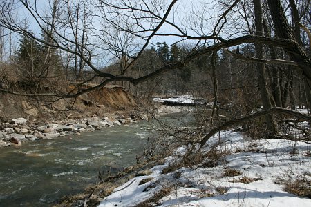 Colonel Danforth Park