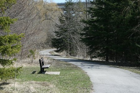 Colonel Danforth Park