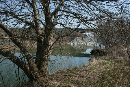 Lower Highland Creek