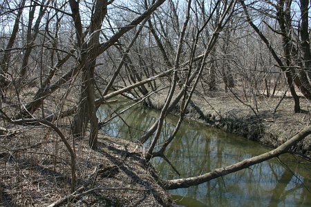 Lower Highland Creek